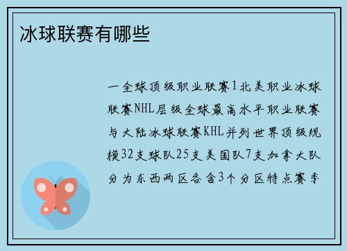 冰球联赛有哪些